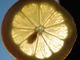 LemonSlice.jpg