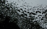 dewdrops.jpg
