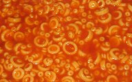 spaghettios.jpg