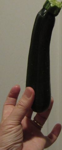 ZucchUp